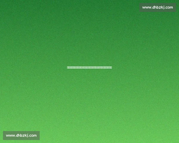 二零一七年林丹对决李宗伟的巅峰之战与传奇终章羽坛史诗回顾经典 二零一七年林丹对决李宗伟的巅峰之战与传奇终章羽坛史诗回顾经典